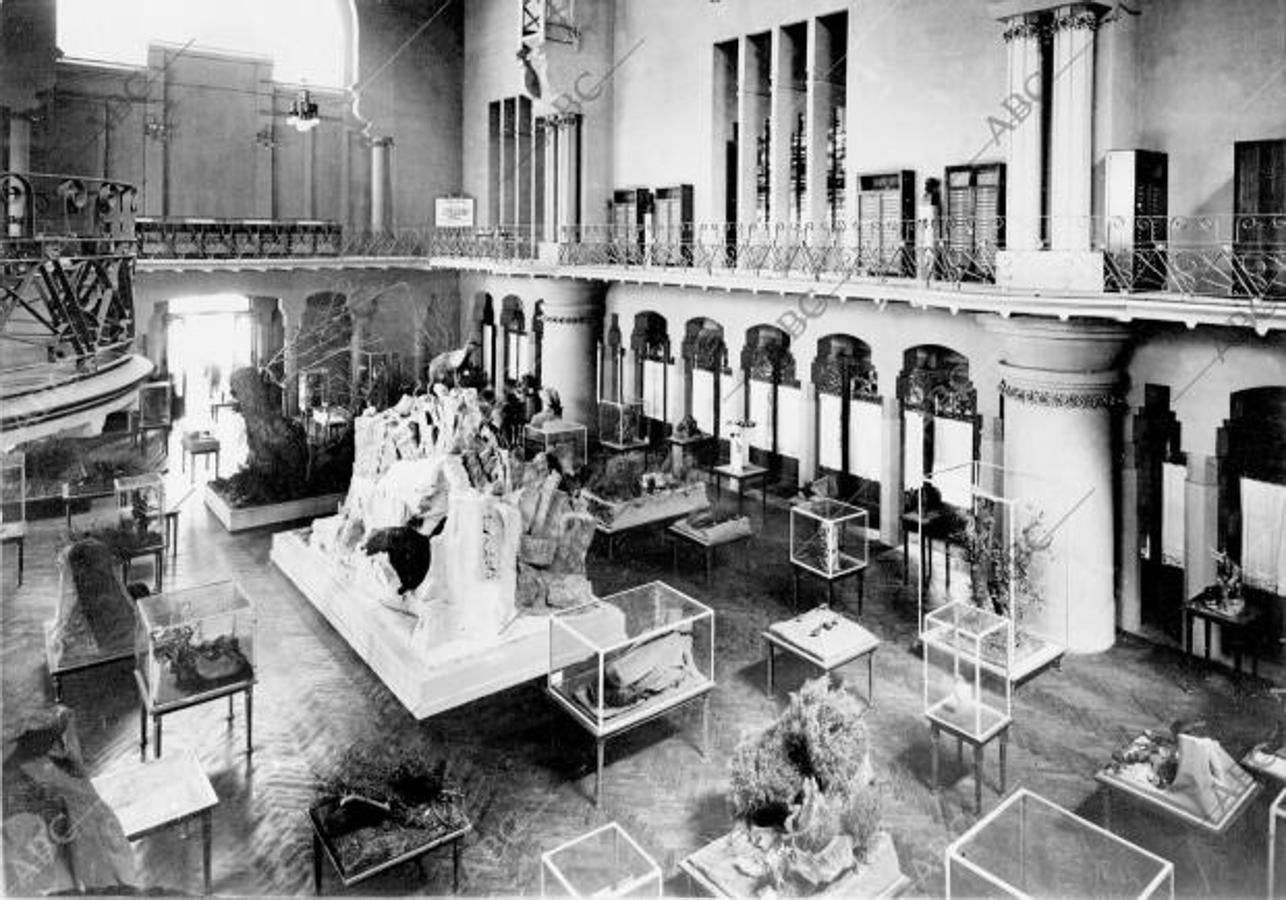 Una de las salas del Castillo de los Tres Dragones, convertido en sede del Museo de Ciencias Naturales de Barcelona en 1917