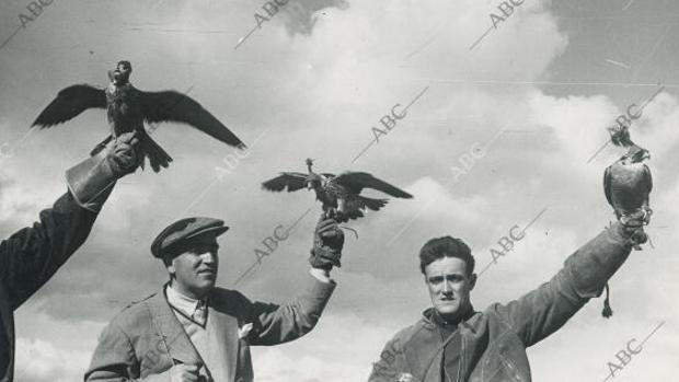 Los primeros pasos de Félix Rodríguez de la Fuente