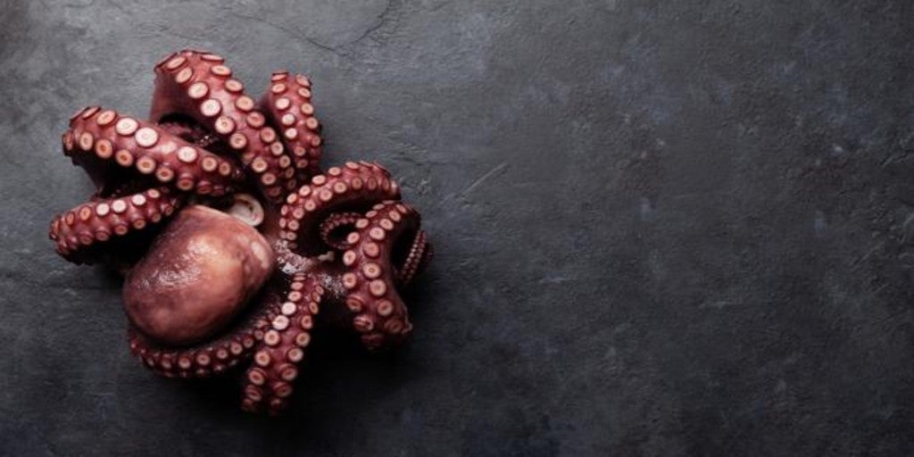 pulpo en los alimentos