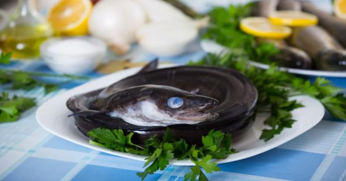 El congrio es uno de los pescados más ricos en vitamina A del mercado
