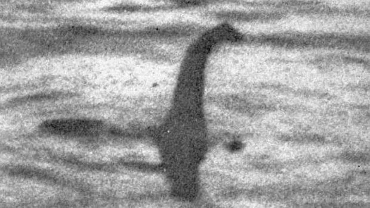 Medicina analogía haz Una nueva investigación buscará el ADN del monstruo del Lago Ness