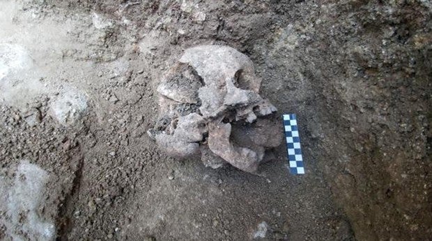 La calavera del supuesto «niño vampiro»