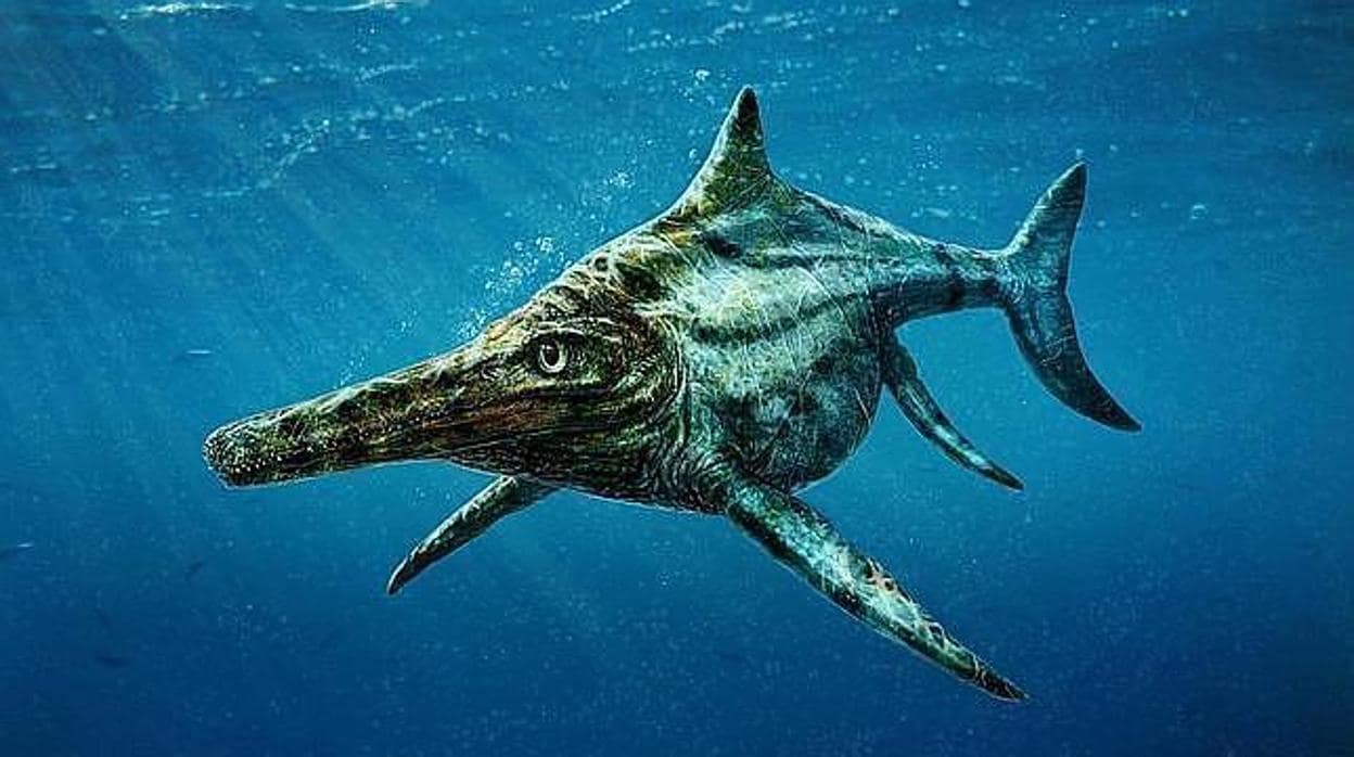 El misterio del ictiosaurio: parecido a los delfines pero emparentado con las tortugas