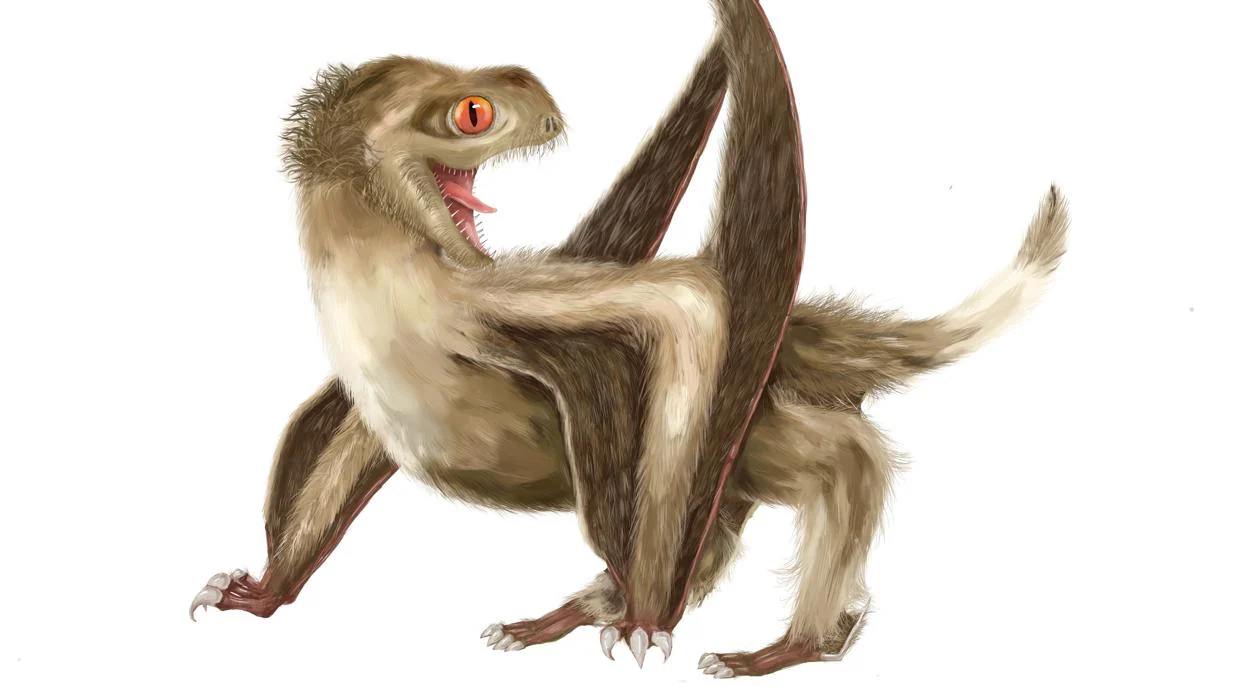 Descubren que los pterosaurios estaban cubiertos de plumas