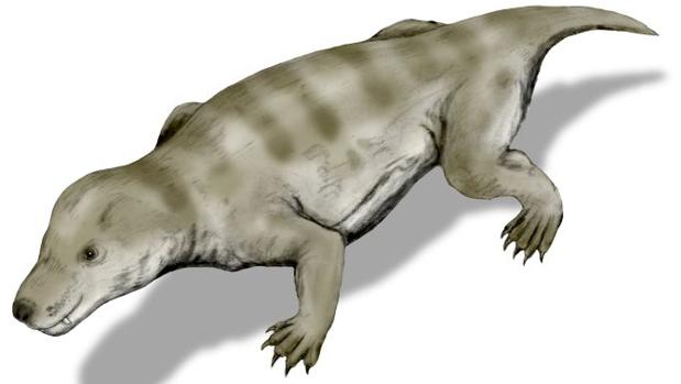 Thrinaxodon, de la familia de terápsidos