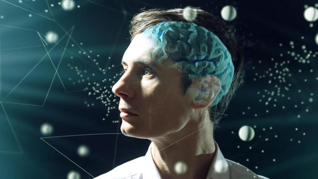 El cuerpo calloso conecta los dos hemisferios del cerebro