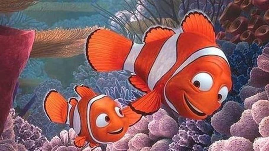 La incestuosa historia real detrás del pez payaso de «Buscando a Nemo»