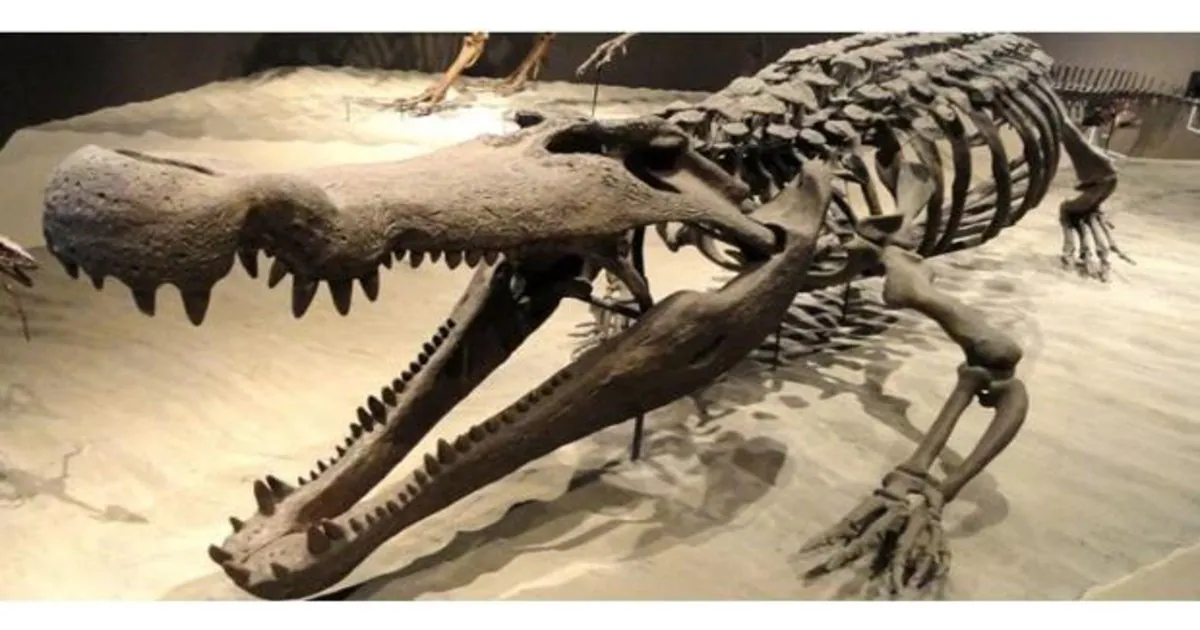 Deinosuchus», el monstruoso cocodrilo que cazaba dinosaurios