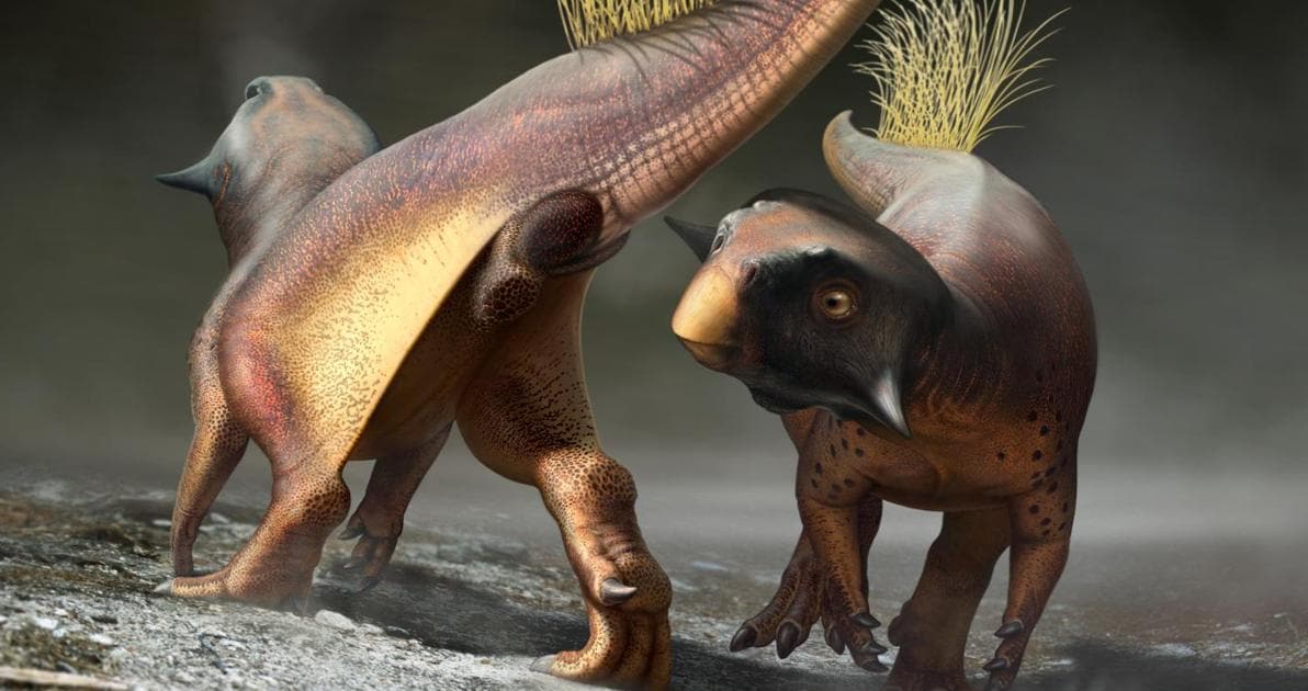 El orificio para todo de los dinosaurios, descrito por primera vez