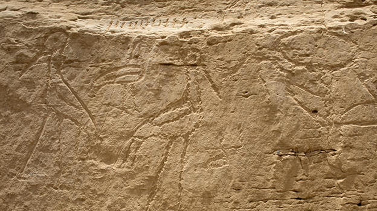 curva Bañera inteligencia Descubren una serie de pinturas rupestres en el desierto de Egipto