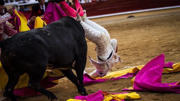 El pitón se hunde en el gemelo derecho de Román