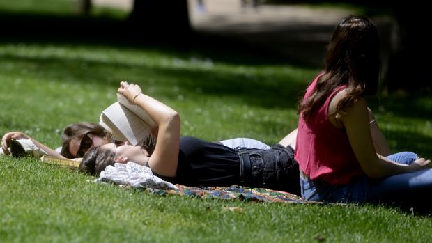 Lectura en el parque del Retiro (Madrid)