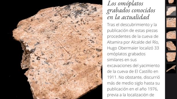 «Pantallazo» de la aplicación móvil