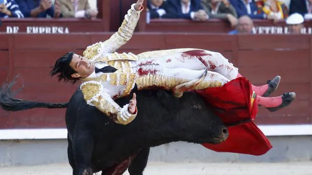 Alberto López Simón, en el momento de la cogida