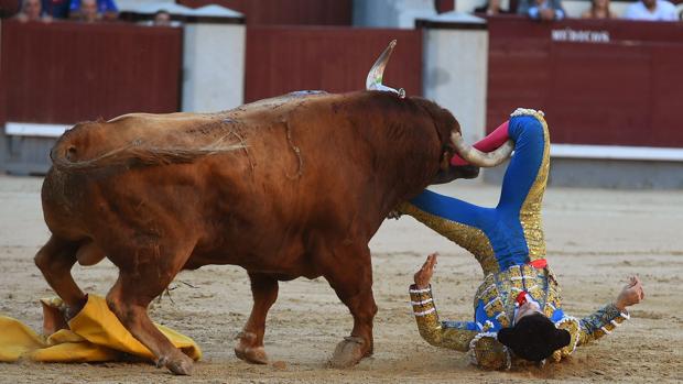 Momento en el que el cuarto toro coge al diestro colombiano Ritter