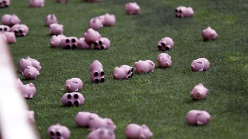 Cerditos arrojados al césped