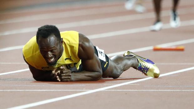 Bolt, en el suelo