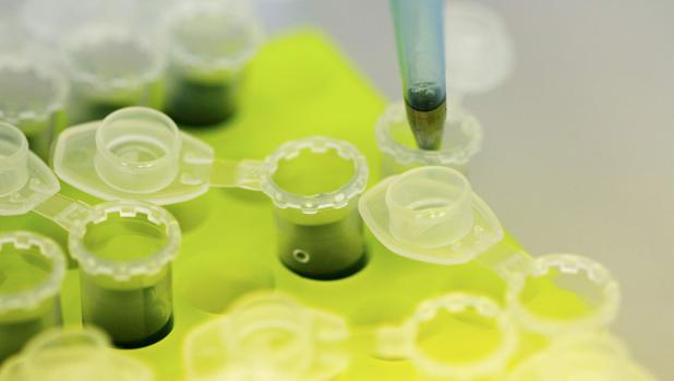 Imagen de un análisis en un laboratorio