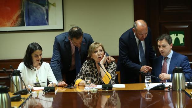 Reunión del pacto de Toledo presidida por Celia Villalobos