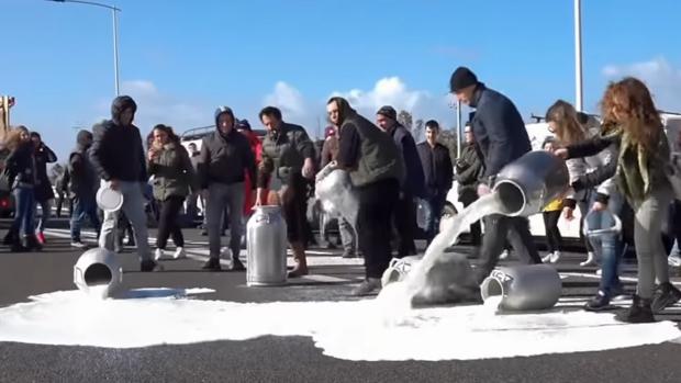 Productores vuelcan cántaros de leche a la carretera como protesta
