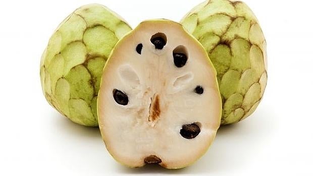 Chirimoya