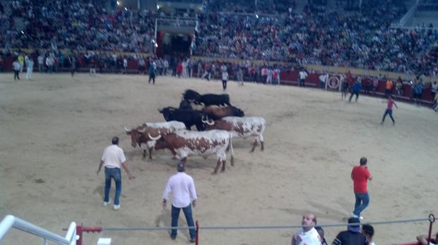 Encierro celebrado en las fiestas del año pasado
