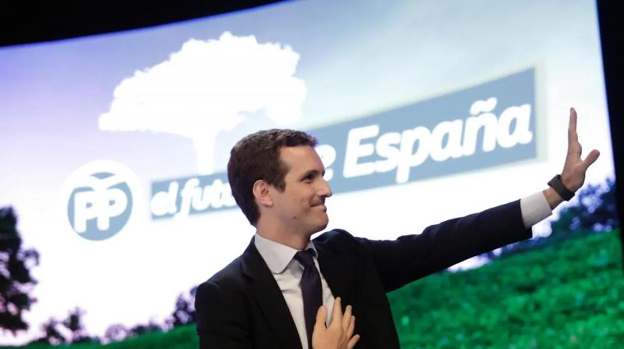 Pablo Casado, Nuevo Presidente Del PP