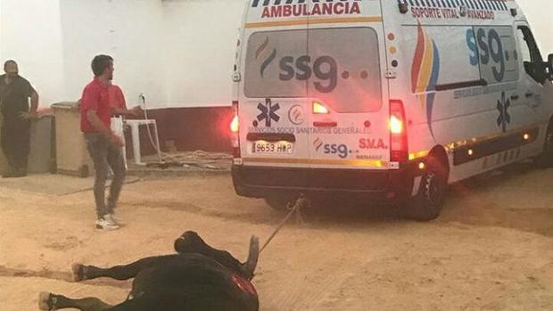 Fotografía aportada por la formación morada