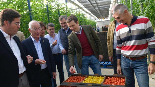 Casado durante una visita a una plantación hortofrutícola durante la campaña electoral en Andalucía