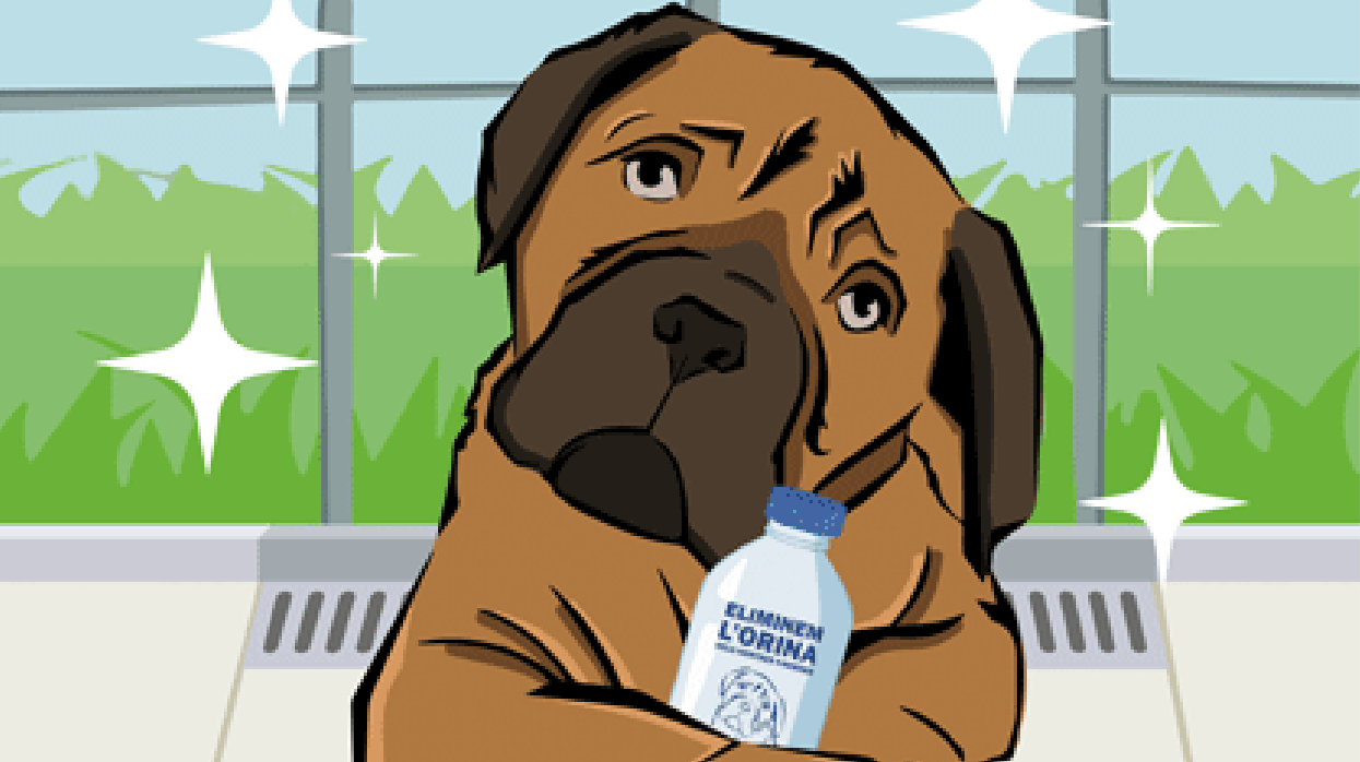 Botellas para limpiar los orines de los perros con agua y vinagre