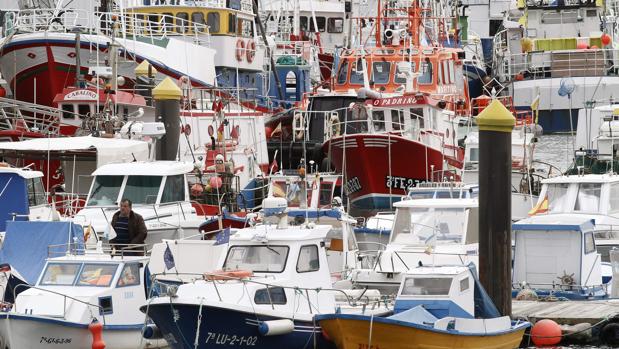 Barcos amarrados a puerto en Burela