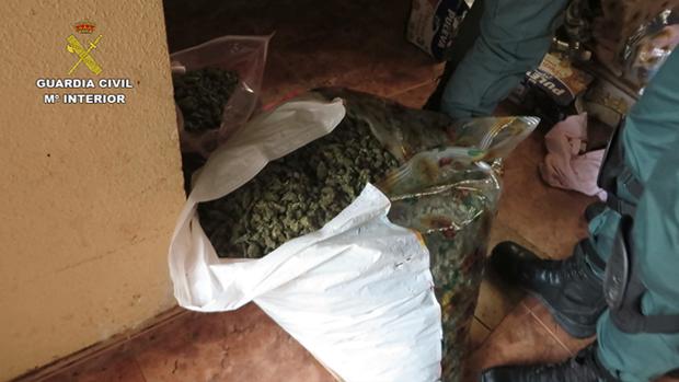 Veinticinco kilos de marihuana ya estaban preparados para su distribución