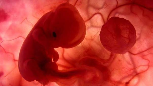 En España la maternidad subrogada está prohibida por ley