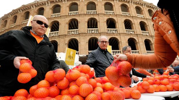Imagen del reparto de naranjas este jueves en el centro de Valencia como protesta por la gestión de la crisis agrícola