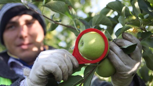 Solo el 10% de los agricultores aragoneses tienen menos de 40 años