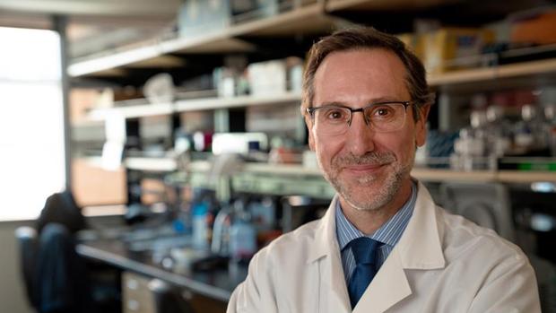 Ribas trabaja desde hace 20 años para la Universidad de California en los Ángeles