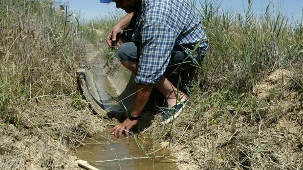 En el conjunto de la cuenca del Ebro, las reservas de agua son un 8,3% menores que hace un año