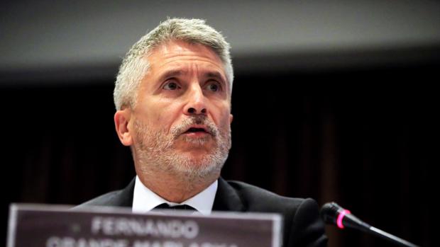 Fernando Grande-Marlaska, ministro de Interior en funciones