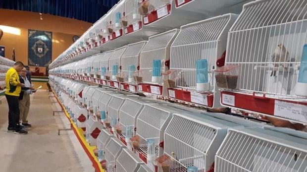 Imagen de archivo de una competición ornitológica