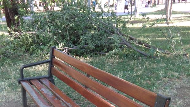 Las ramas que han caído esta tarde a un metro y medio de ese banco