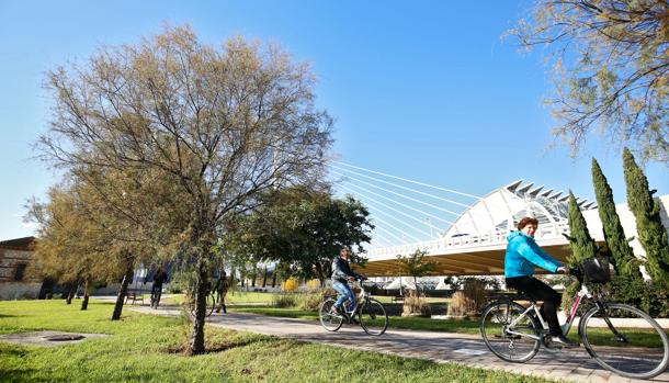 Imagen del Jardín del Turia en Valencia