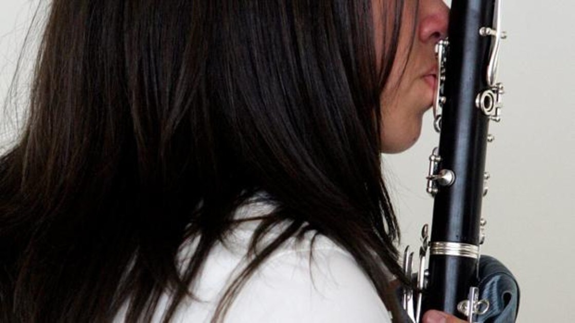 De Denia a Navarra: recuperan un clarinete robado cuando lo revendían en  una web