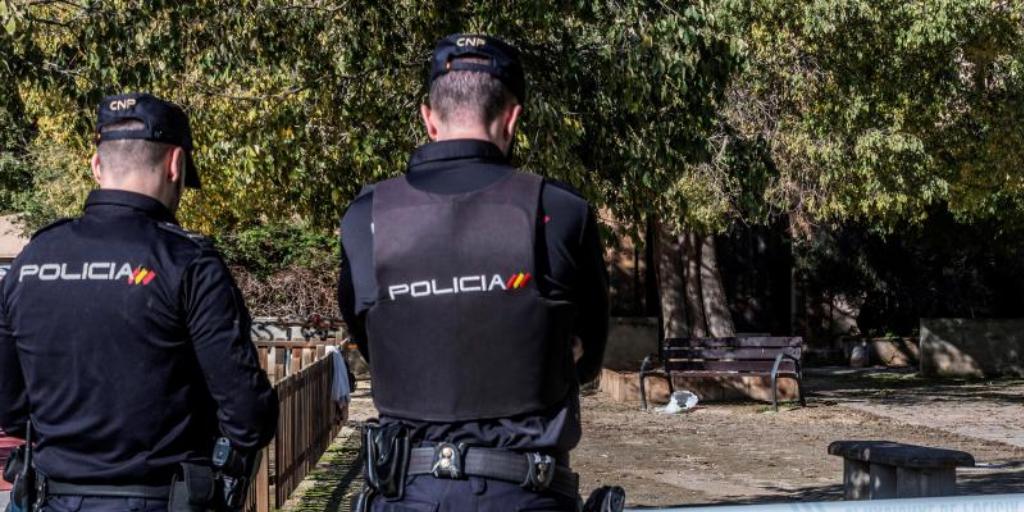 Detenido en Palma un hombre de 35 años por matar a su pareja sentimental