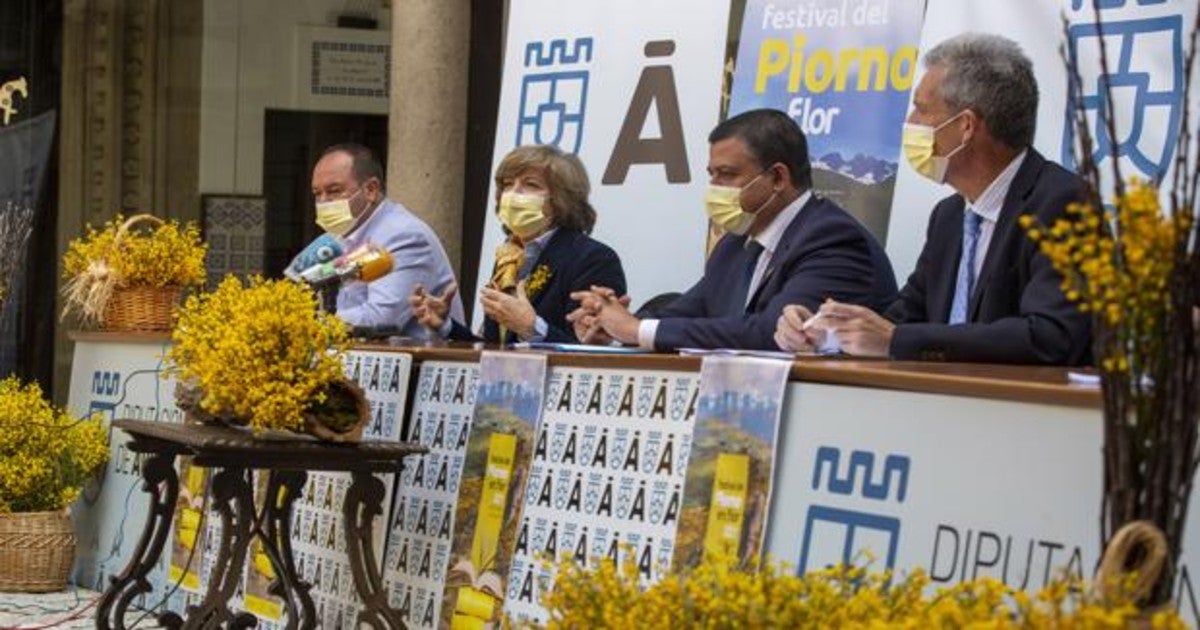 El Festival del Piorno en Flor volverá a teñir la provincia de Ávila de  amarillo