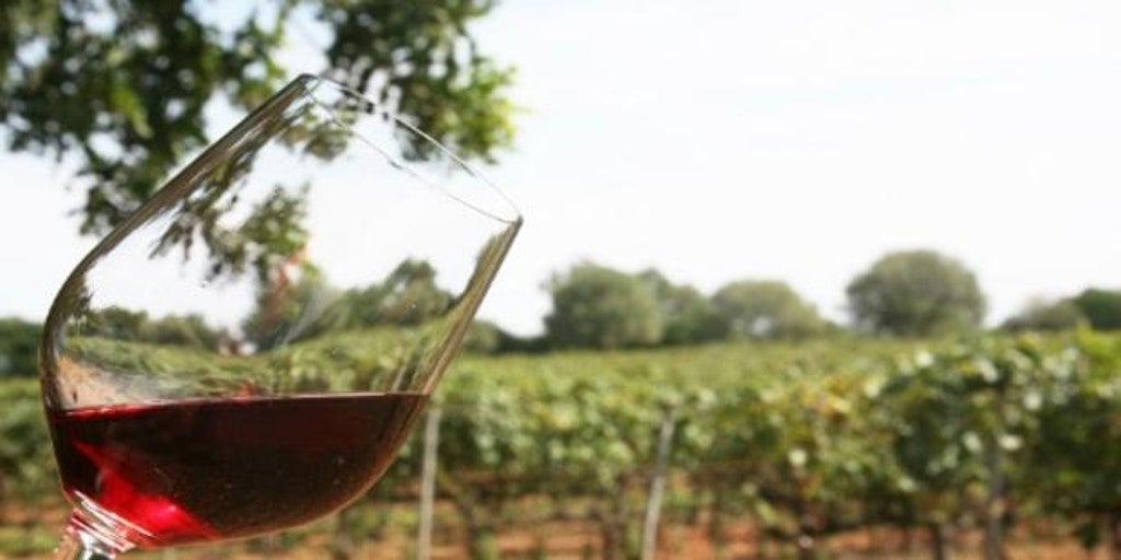 Estas son las seis bodegas de Castilla-La Mancha que triunfan con sus vinos ecológicos en Challenge Millésime Bio 2022