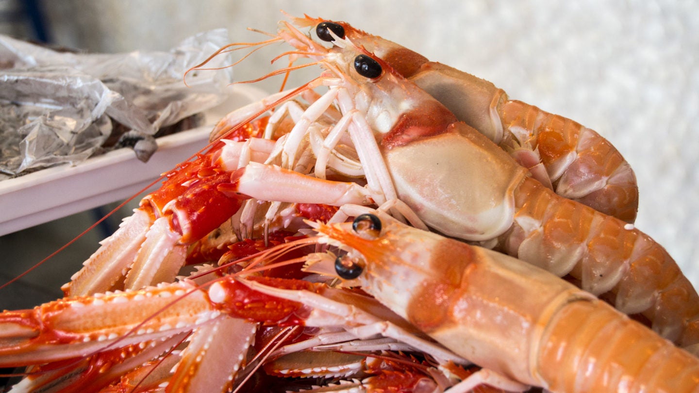 Restaurantes Los Marinos José en Fuengirola