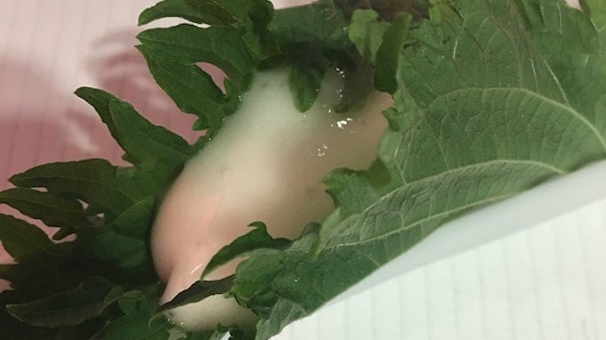 restaurante jose carlos garcia en málaga