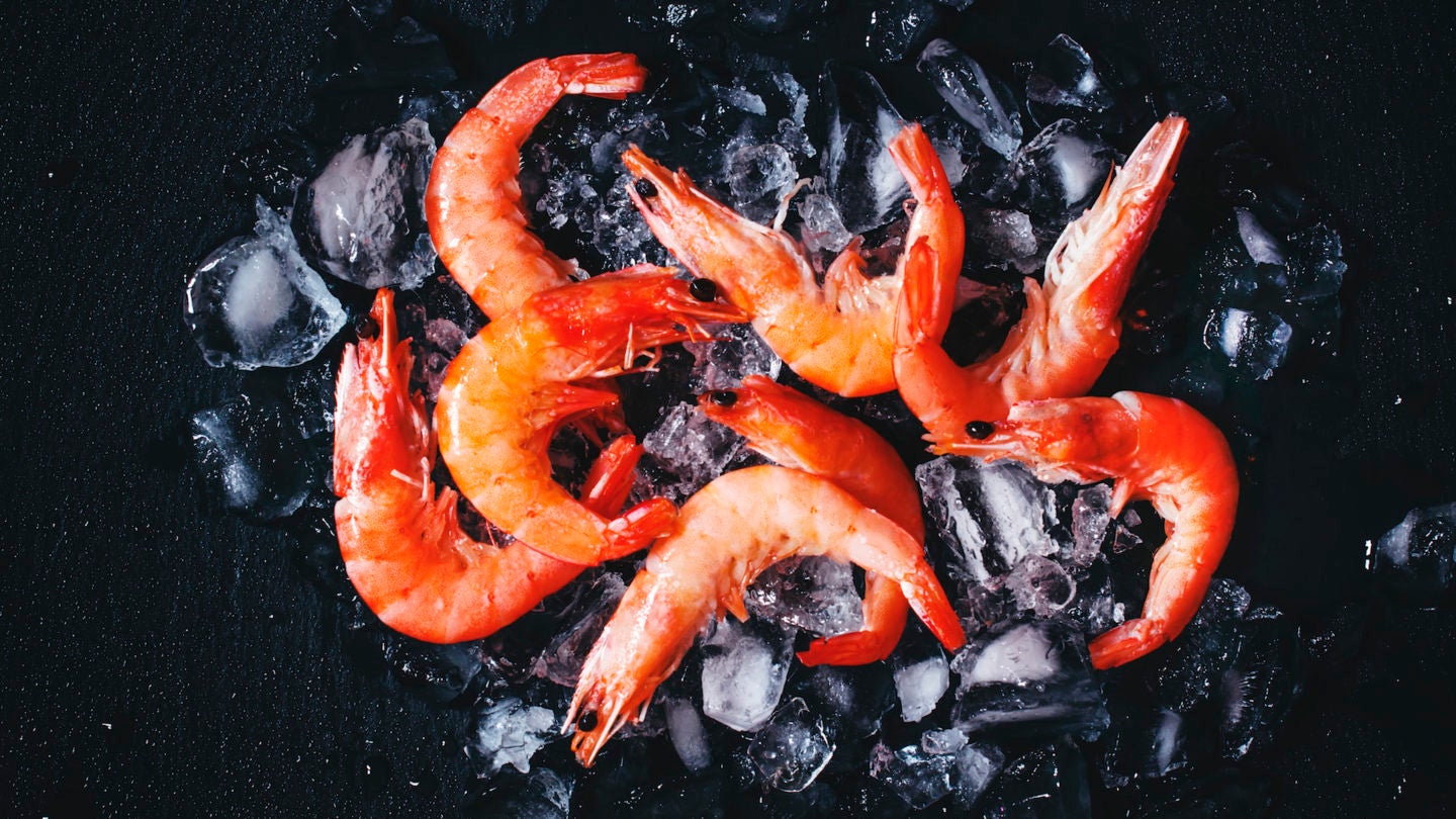 gamba roja de garrucha