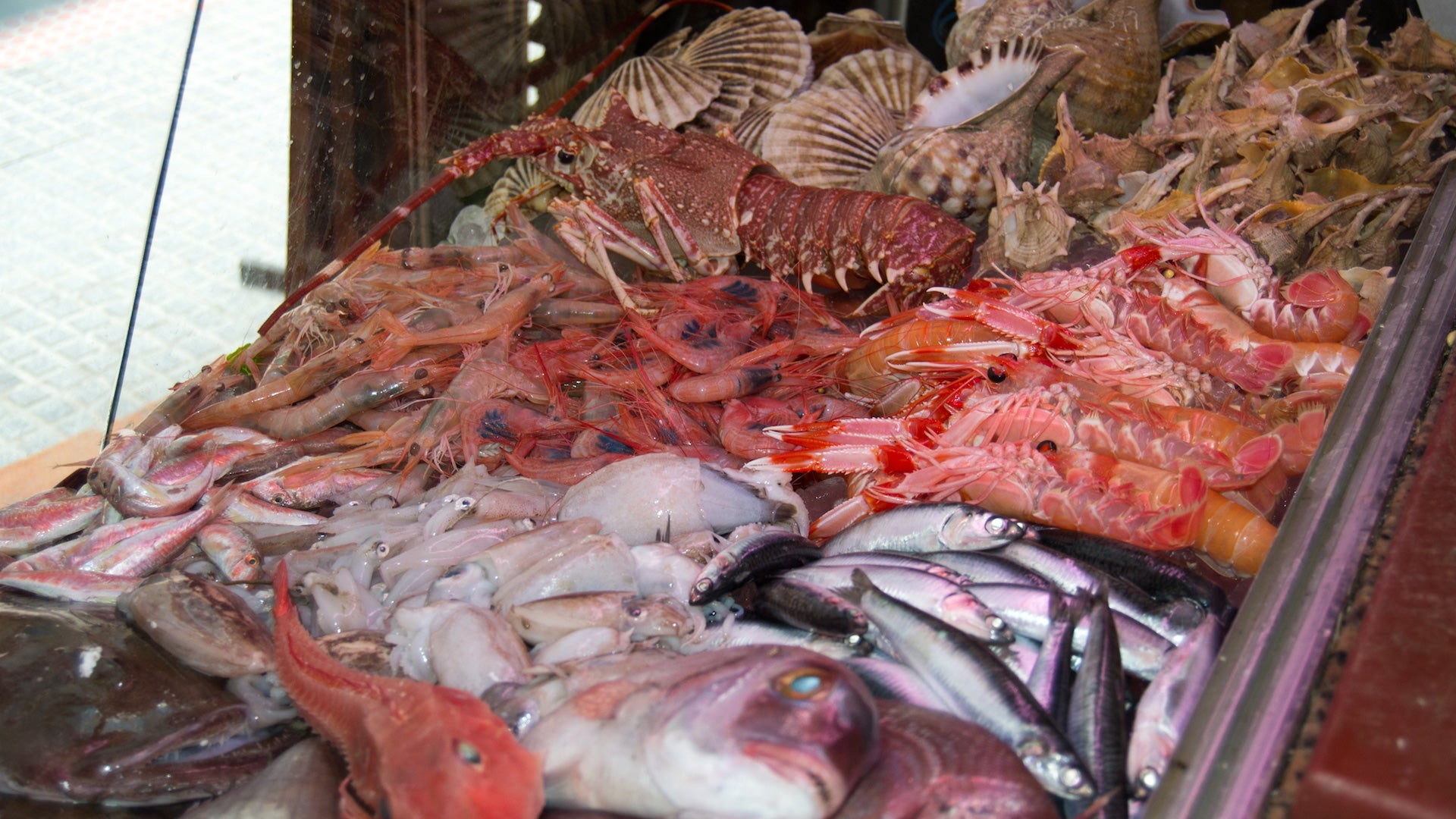 marisqueria noray en malaga