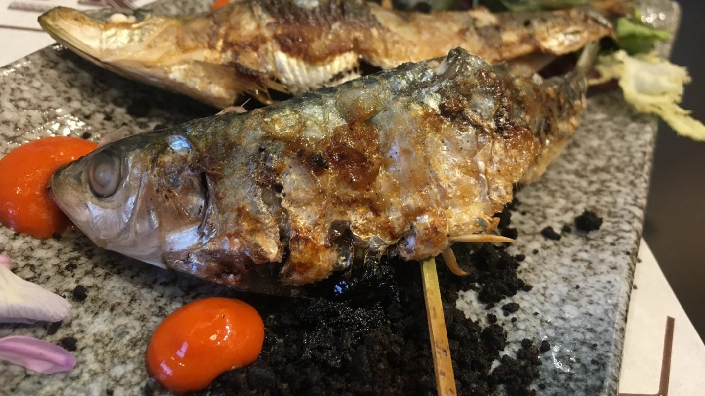 tasca frasquita en antequera 3